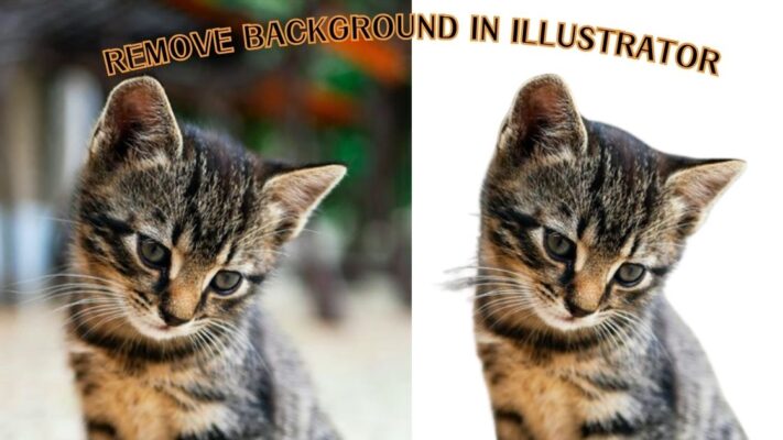 How To Remove Background in Illustrator in 3 Easy Methods
